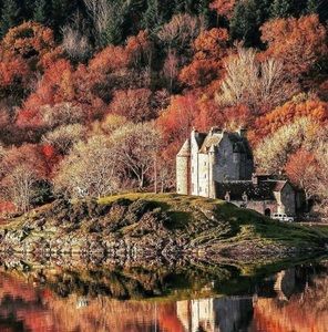 Meet your Posher, Tyron